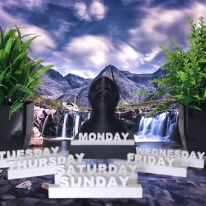 DUCK DAY OF THE WEEK!